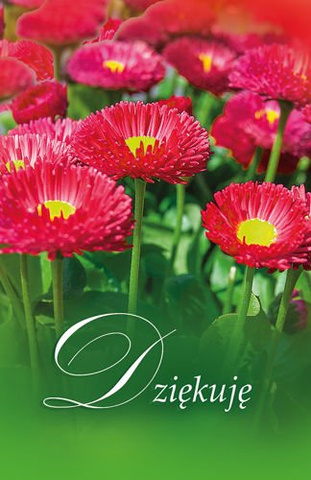 BILECIKI. Różne wzory