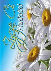 BILECIKI. Różne wzory