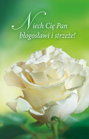 BILECIKI. Różne wzory